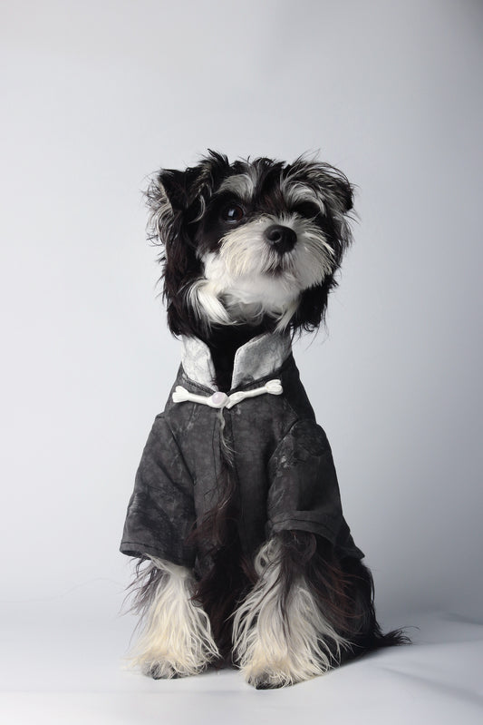 Le Notti bianche|Pet’s fashion