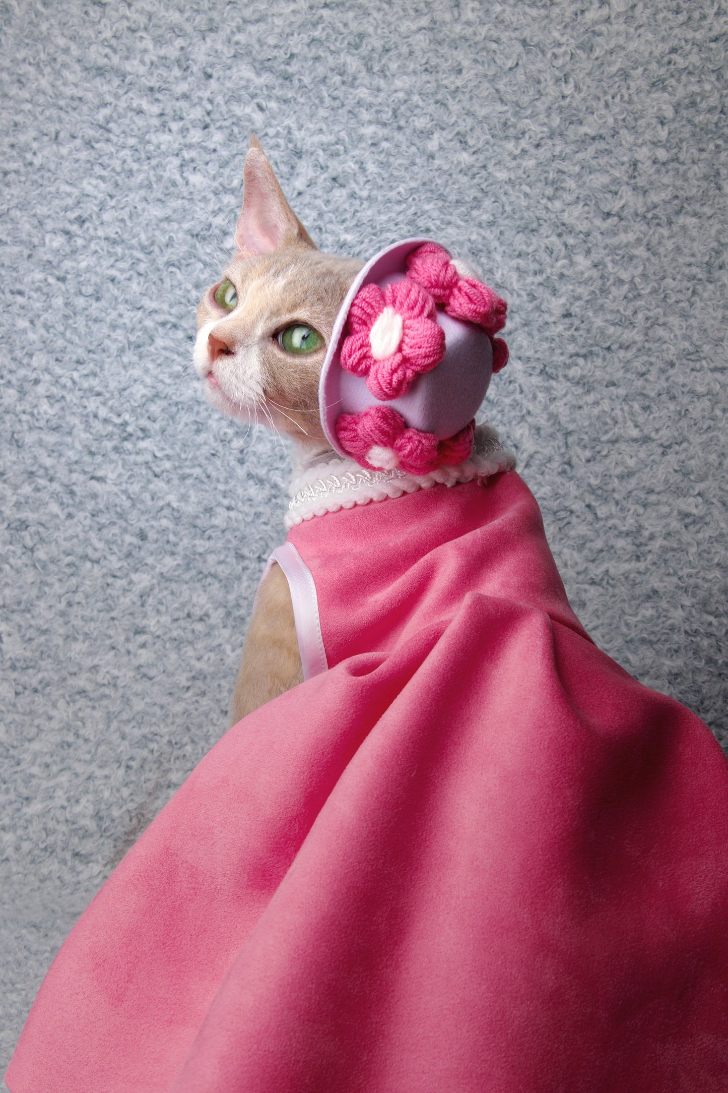 Barbie | Pet's Gift
