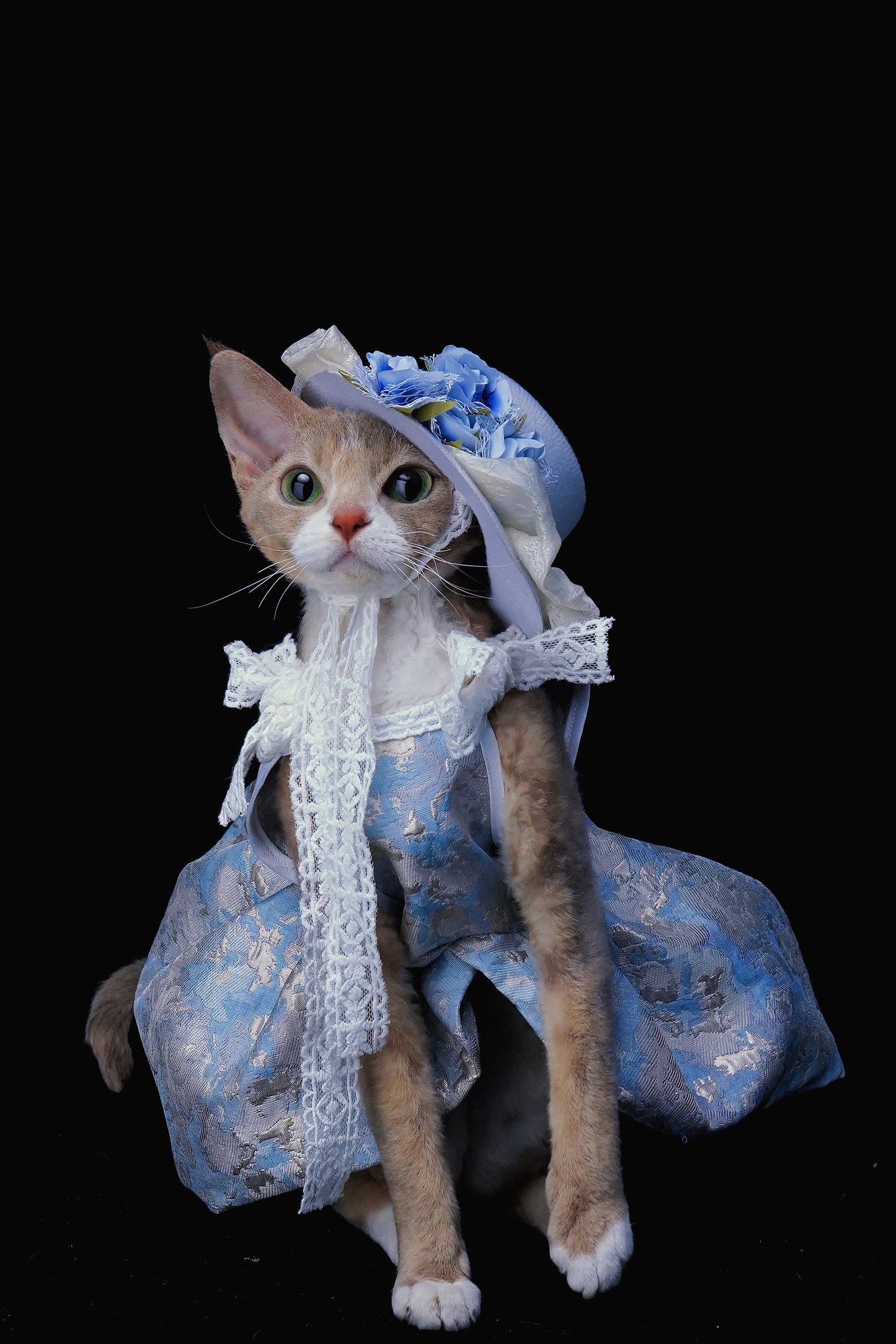 Blue Holiday |Pet's Gift