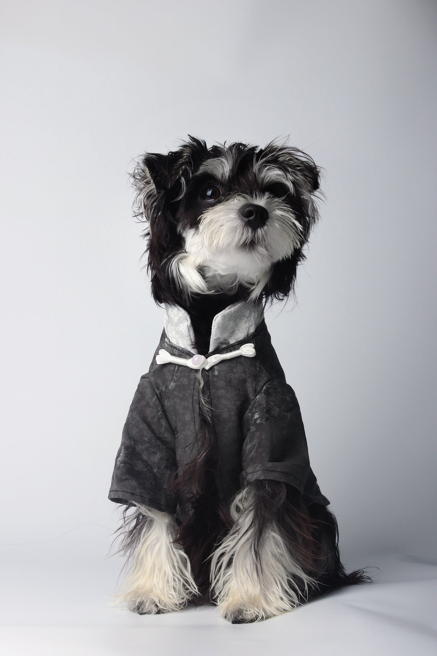 Le Notti bianche｜Pet’s fashion