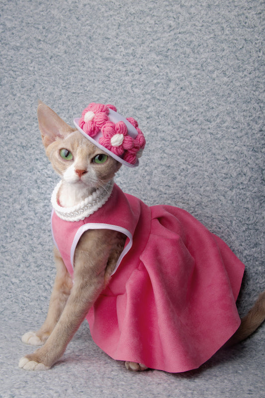 Barbie | Pet's Gift